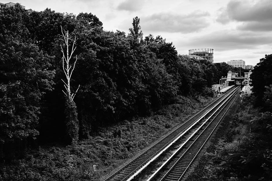 A black and white photograph showing railway tracks running parallel through a semi-urban area, with dense foliage and trees on the left side, including a tall, leafless tree with white branches. On t